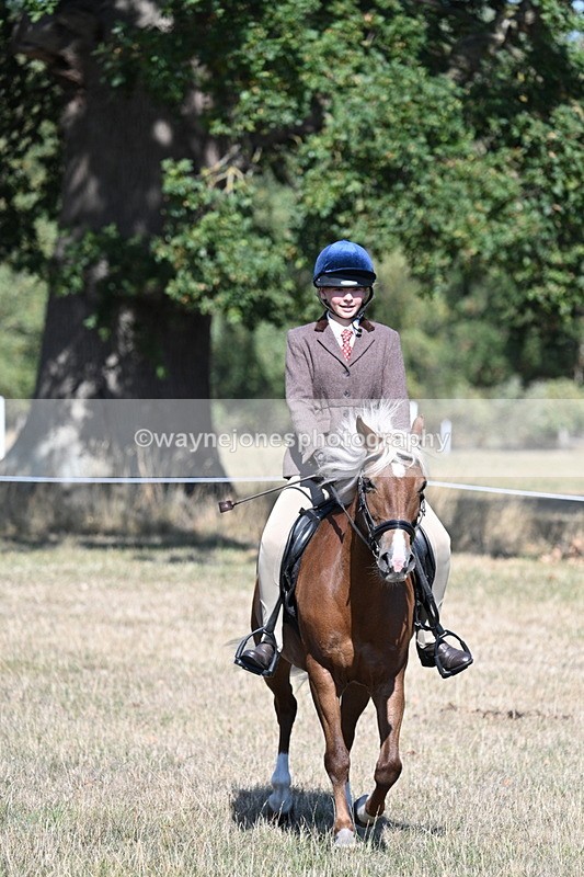 WJ7_3993 - Class 9 Mountain & Moorland Ridden