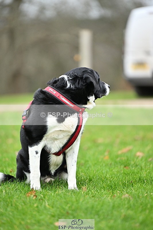 250201A-105910-00313 - Cls 02 Local Horse 100cm