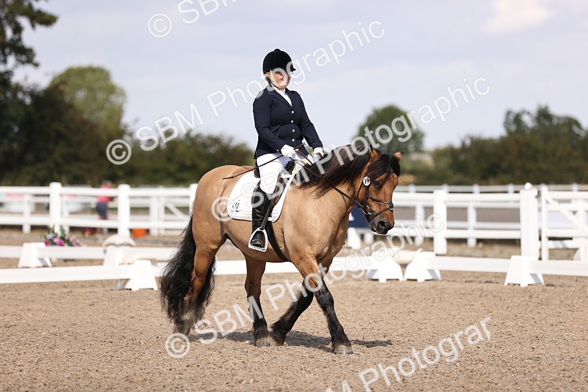 SBM_03584 - CLass 35 Intro 3