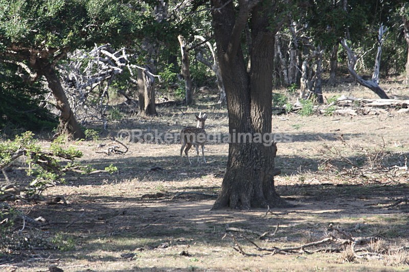  - Travel and culture