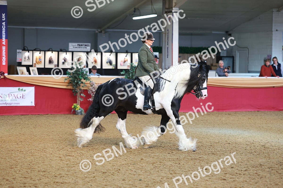 SBM_09463 - Class 102 - HOYS Veteran Qualifier - Ridden Veteran