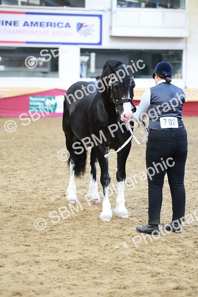 SBM_17463 - Class 951 - M&M IH Supreme Final