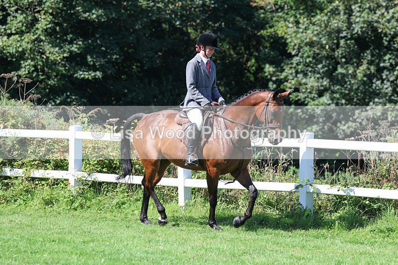 3E7A8321 - Class 4: Novice working Hunter