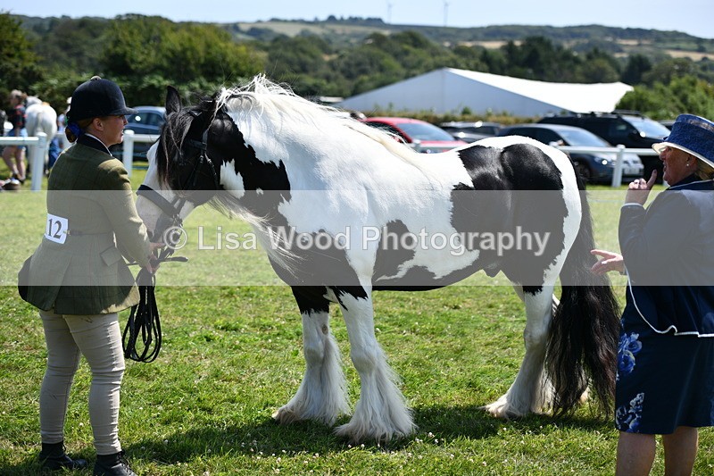 DSC_7746 - Class 64: Coloured Pony 4yrs & over