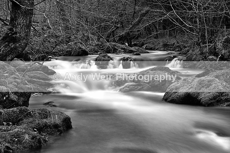 20131221-3K8A8043-2739 - Wales