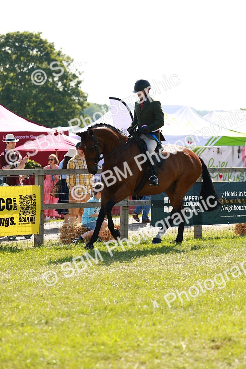 SBM_11986 - Class 66-69 - RIHS Ridden Hunters Inc Small Hunter