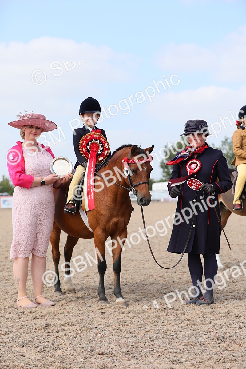 SBM_14086 - Class 309 Lead Rein Pony