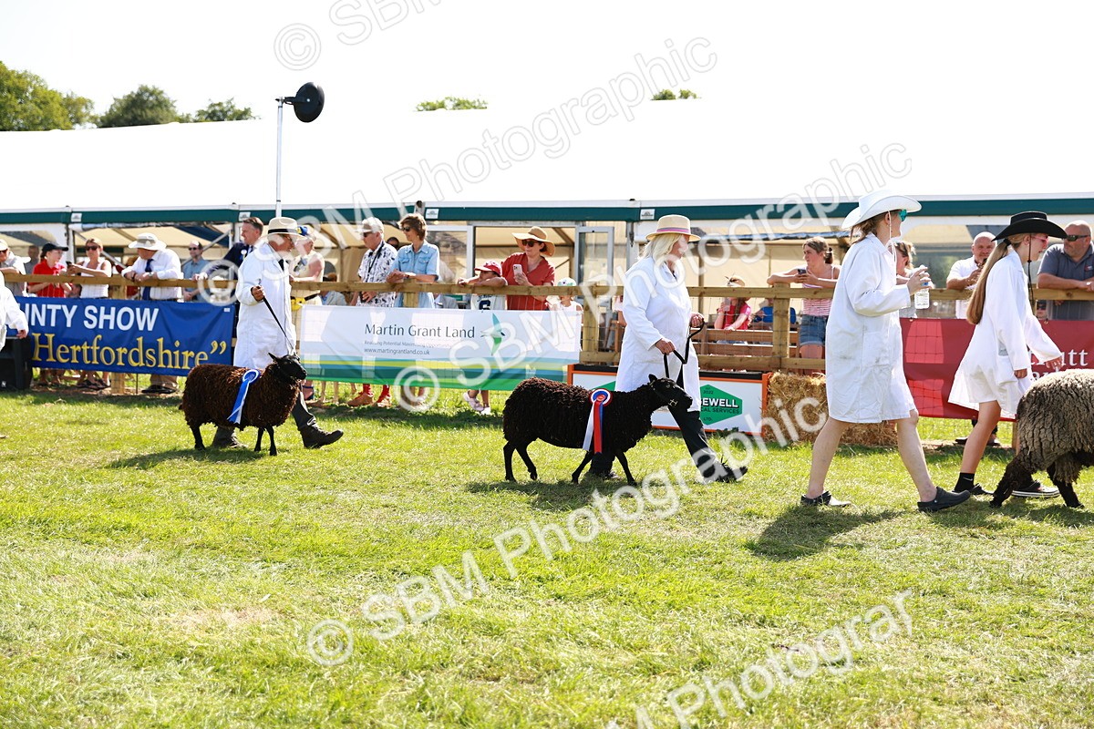 SBM_08392 - Grand Parade