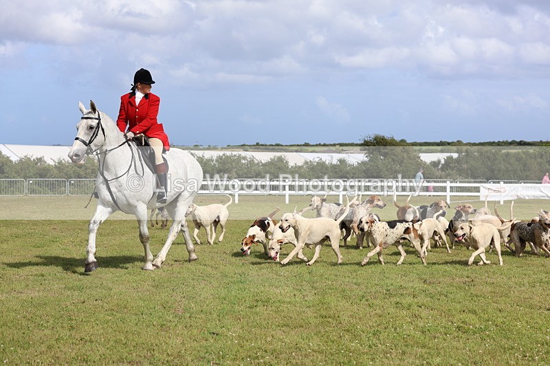 3E7A3375 - Parade of Hounds