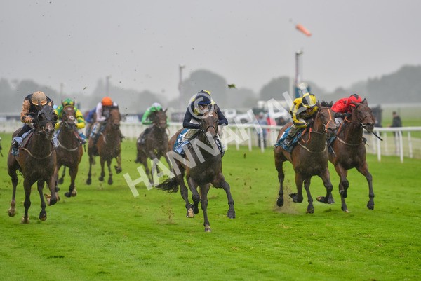 140723-Race 5-Monte Linas-8283 - Race 5 4.25pm Coopers Marquees Handicap