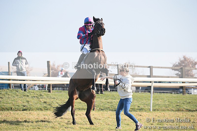 PtP 230219 10 - Vine & Craven Point-To-Point - Barbury 23/02/19