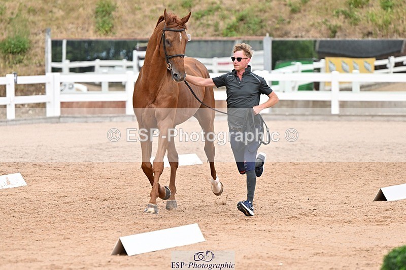 250716-163829-02694 - Trot Up 4.30 to 5.00