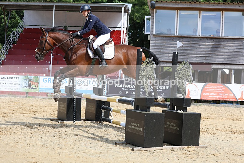 3E7A3550 - Class 4: Senior British Novice/90cm open