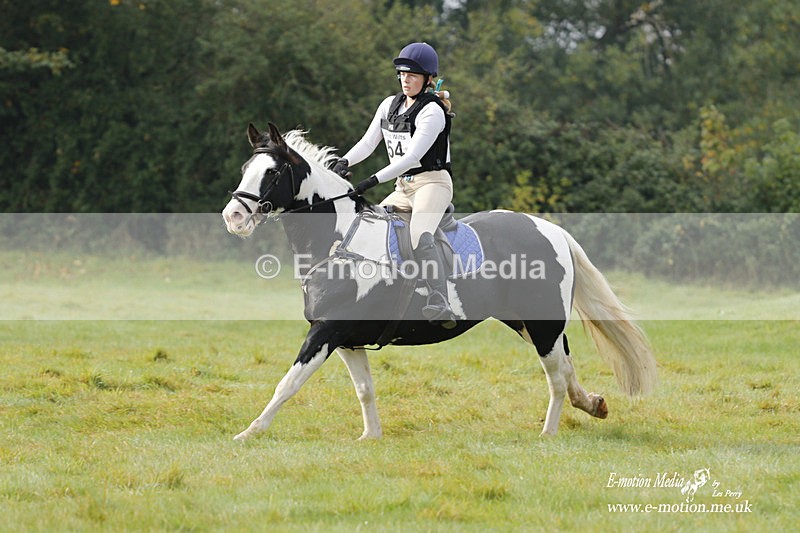  WWHT 171021 0745 - Open Novice (0.80m)  17/10/21