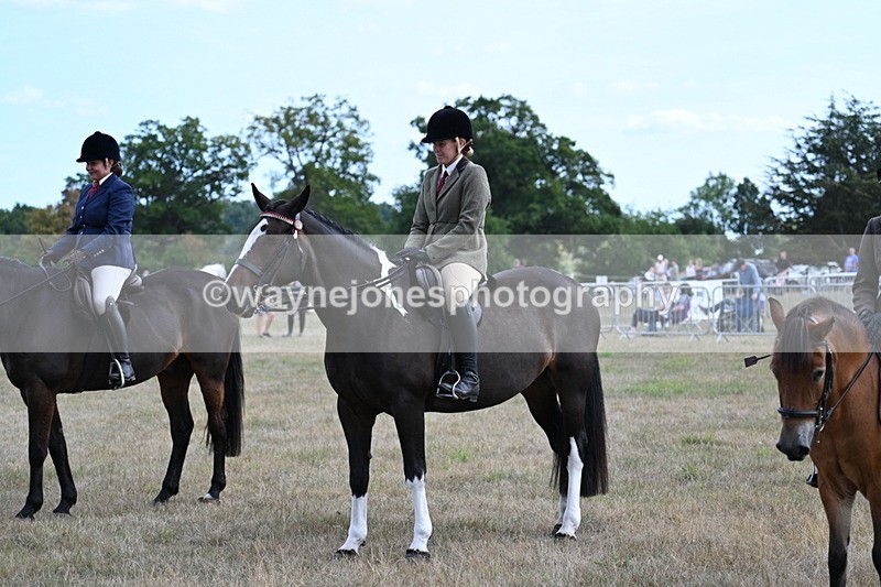 WJ7_6307 - Class 13 Ridden Veterans