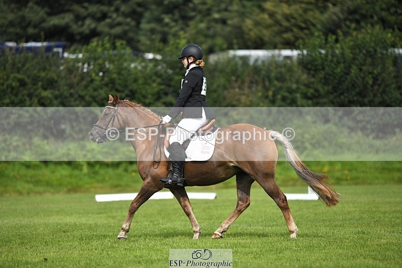 230826-104657-15614 - Sections C & D 10 to End