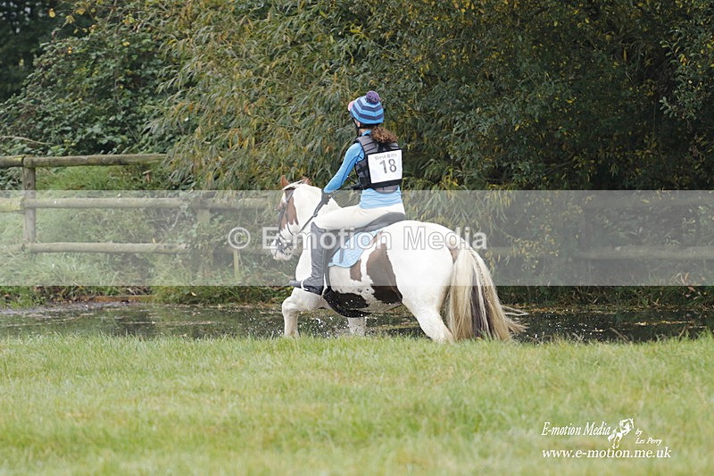 WWHT 171021 0472 - Novice Restricted (0.80m)  17/10/21