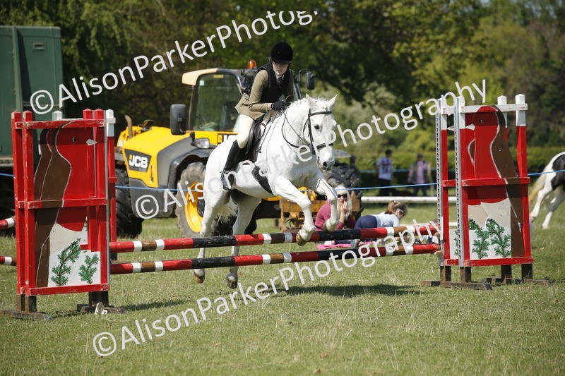 20250427-2344 - Class 13 - Novice Jumping 60cm