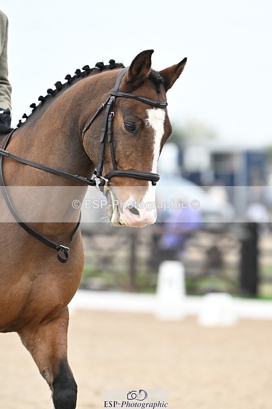 241103-094325-00198 - Intro 3 - 9.40 to 10.40