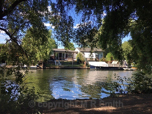 The Thames At Hurst Park, Molesey, Kingston - LANDSCAPES & TREES