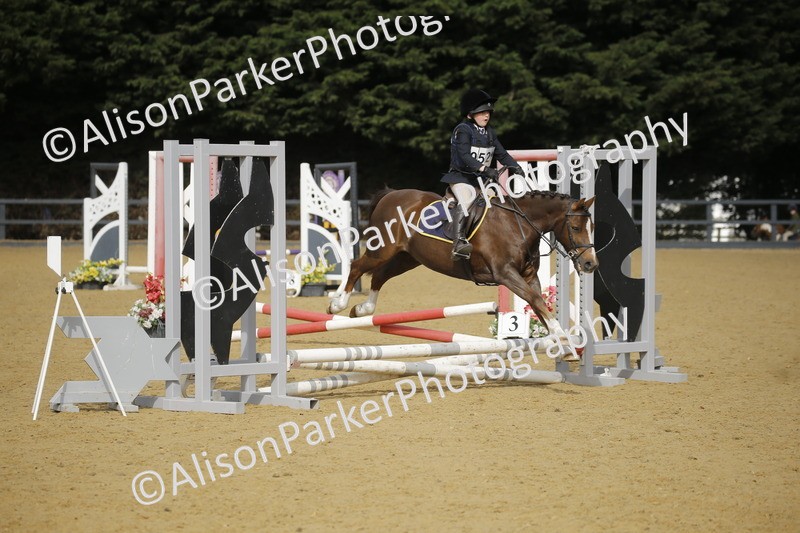 20250622-1433 - 40cm