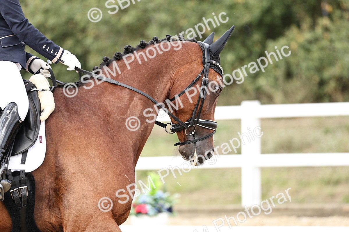SBM_019541 - Class 18 - Elementary 5