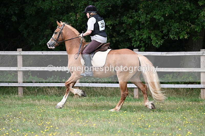 WJ7_0310 - XC Time 10:05 to 12:27