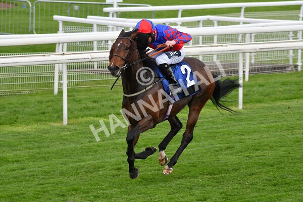 yr14052021r6-14 - Race 6 4.15pm Yorkshire Equine Practice Stakes