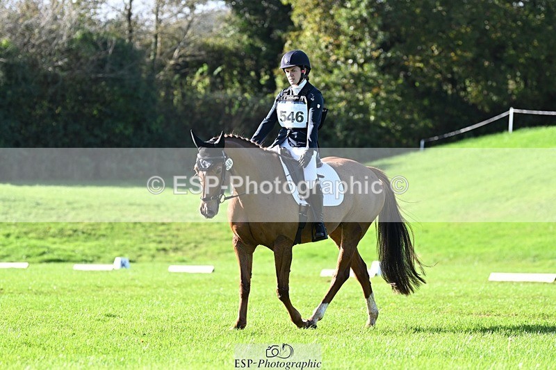 241025-112313-07131 - 546-Jennifer.Jaques-AURELIA.COOL