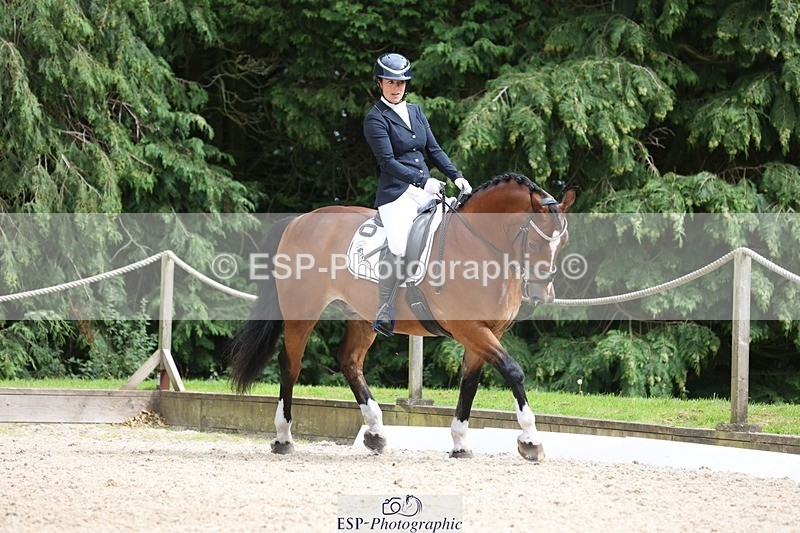 230812-151251-05080 - Cls 5 Novice Bronze 15.00 to End