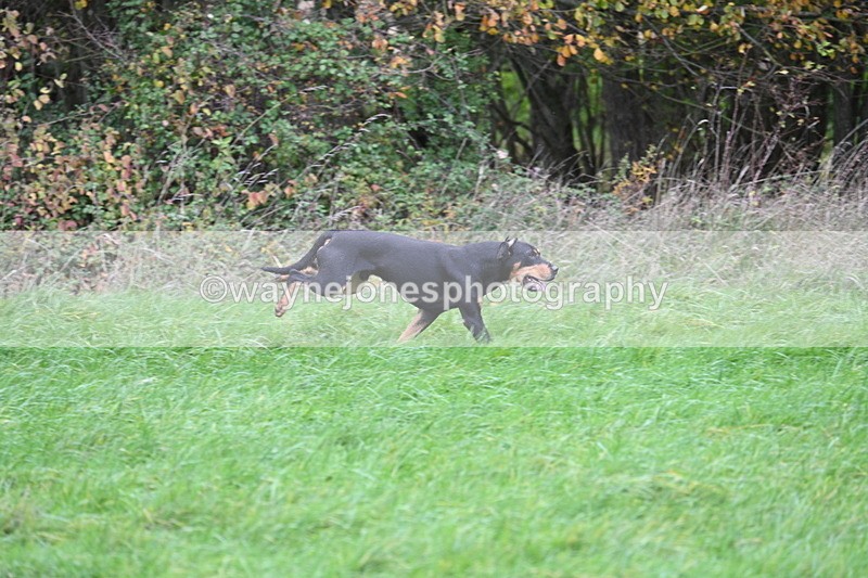 WJ7_9488 - Camera A