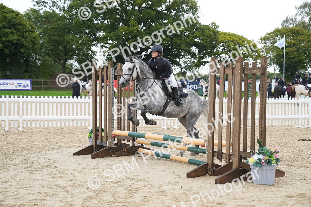 SBM_01455 - J54 - Clear Round 50cm