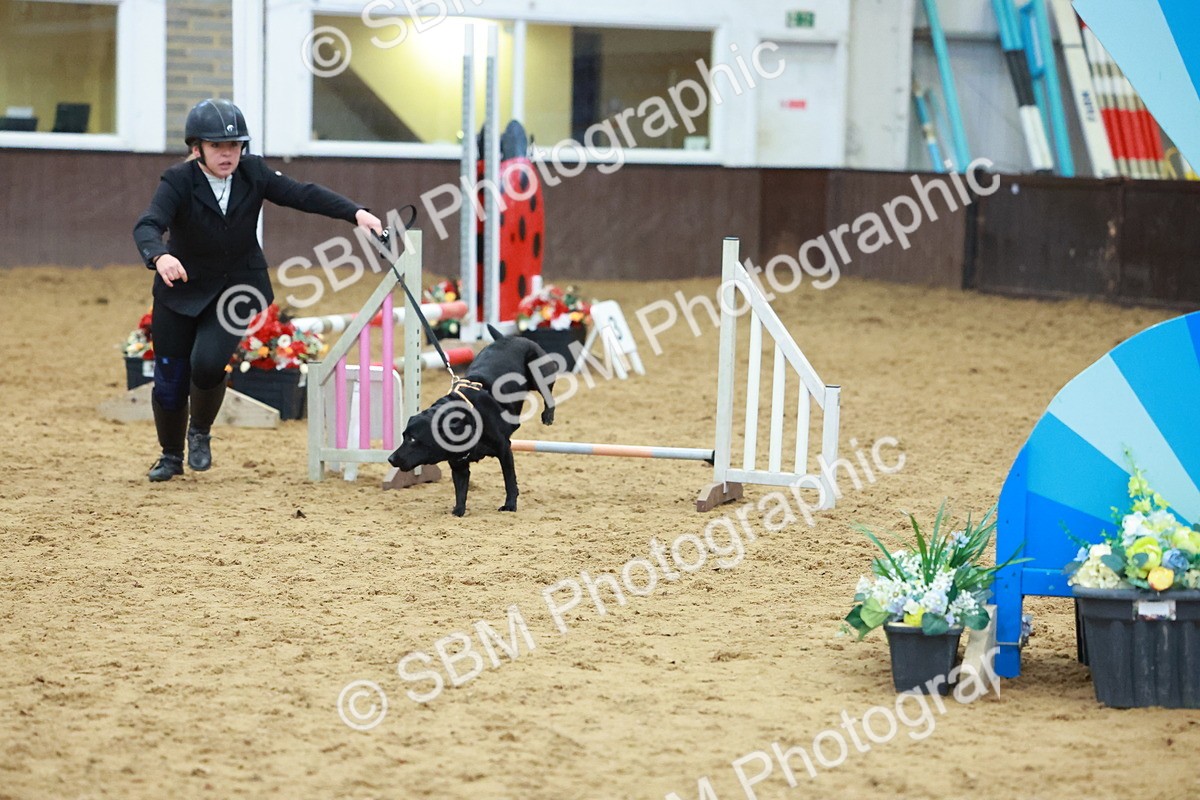 SBM_002446 - Class 3 - Horse & Hound (60cm)