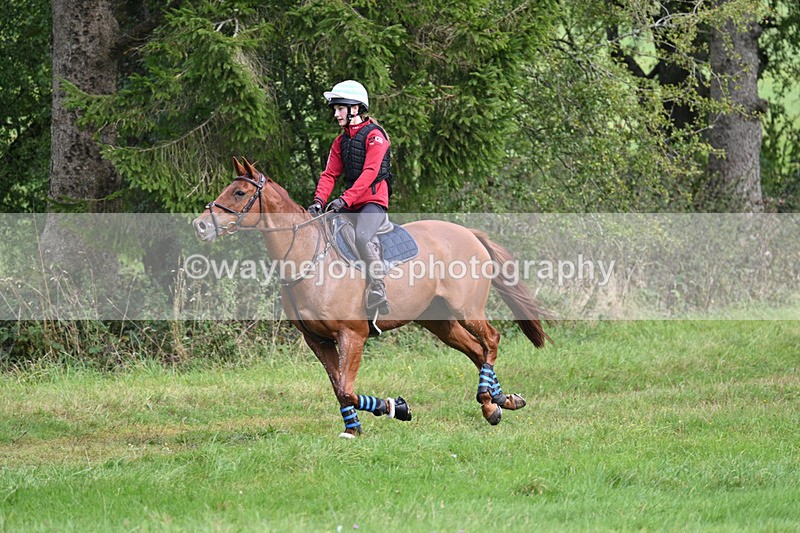 WJ7_7840 - Time 13:50 to 14:03