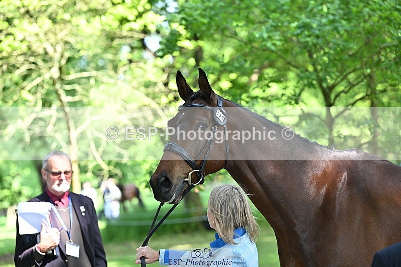 250521A-154321-00718 - B-358-Sammi.Birch-PARKFIELD.ARTIE.BLOU