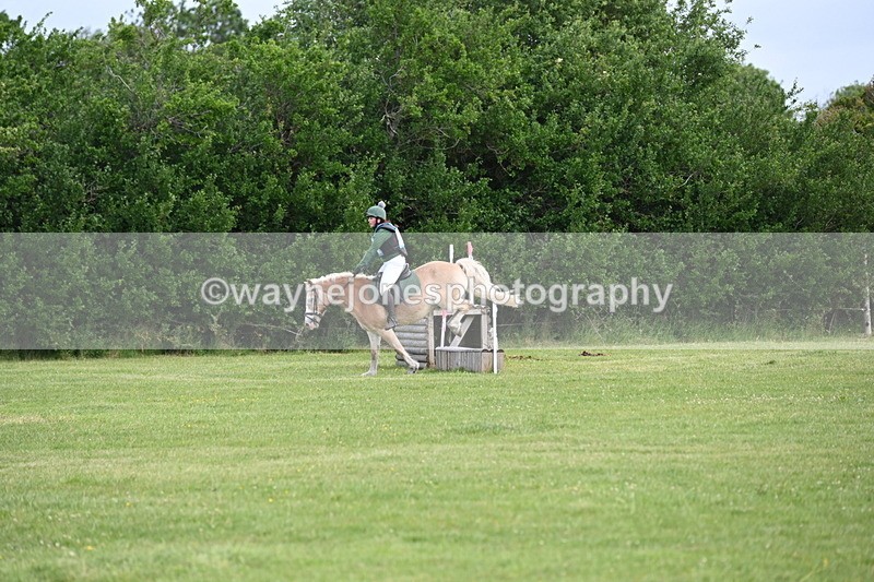 WJ6_2263 - Class 2 40cm