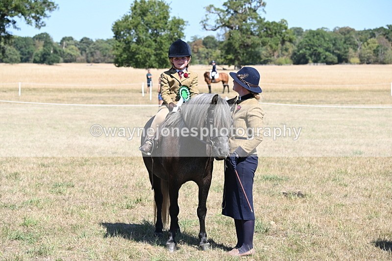 WJ6_8156 - Class 36 Lead Rein