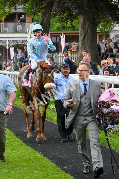 170524-Race 4-Giavellotto-8195 - Race 4 3.45pm Boodles Yorkshire Cup Stakes