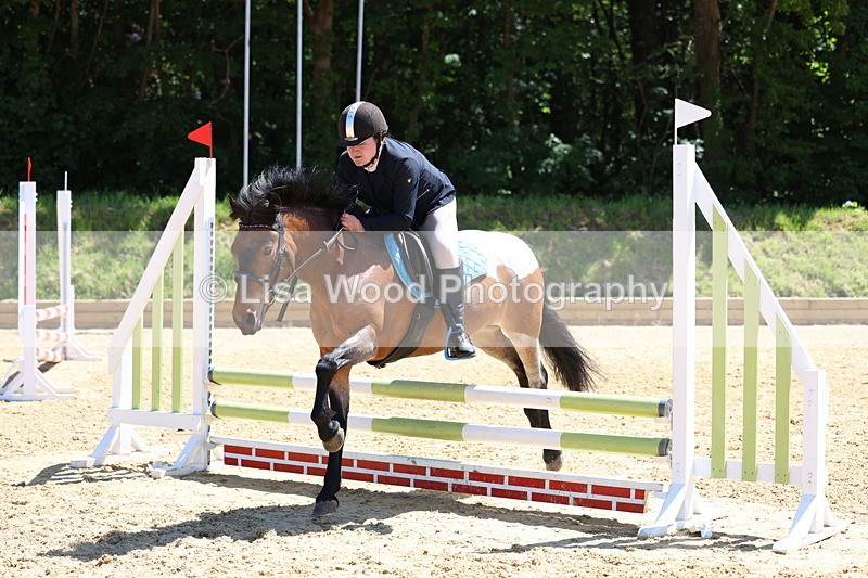 3E7A2642 - Class 4/5: 60cm Open Teams and Individuals