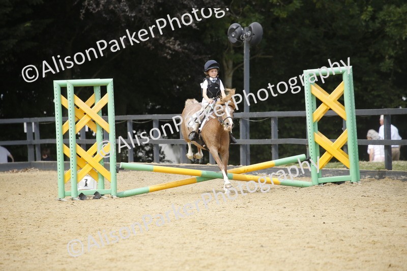 20250622-4608 - 50cm