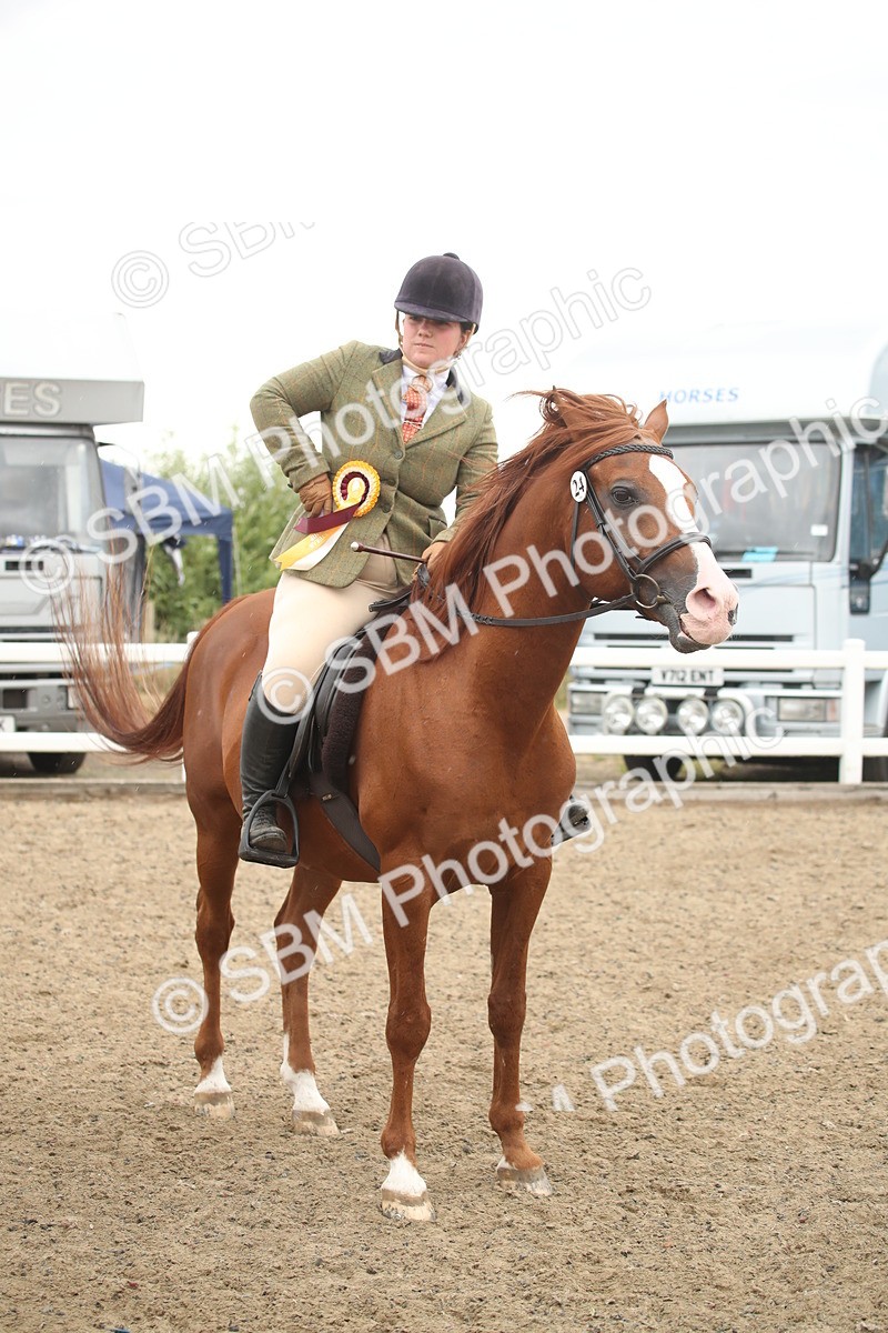 SBM_18416 - Class 509B - Working Veteran - 80cm (20+)