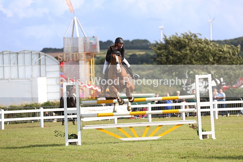 3E7A3675 - Class B: Showjumping Accumulator