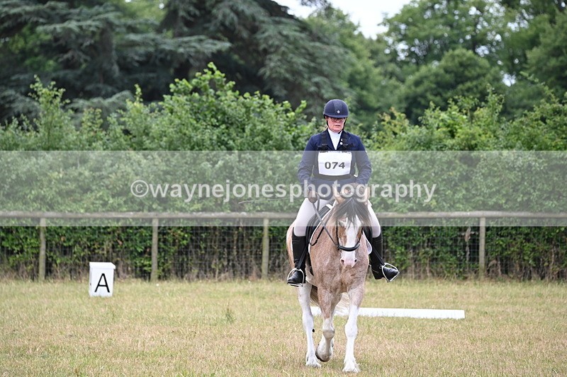 WJ6_3137 - Time 11:07 to 11:34