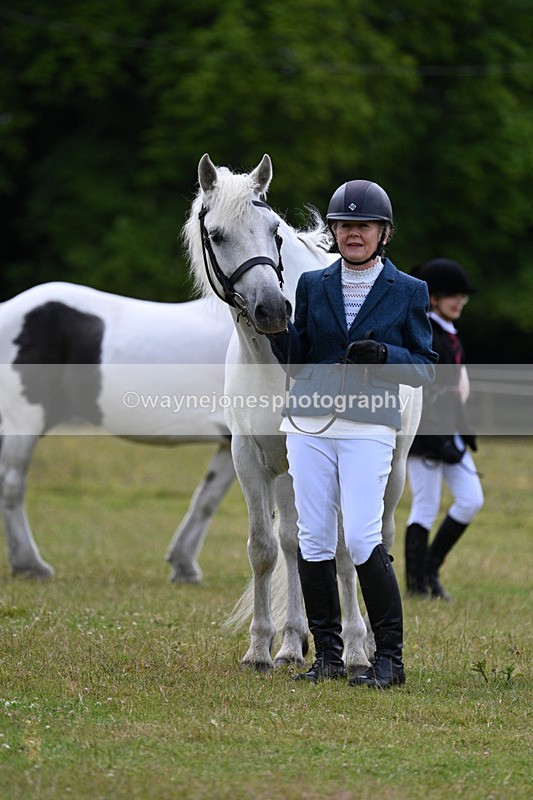 WJ7_7079 - Class 5a Most Handsome Gelding in Hand