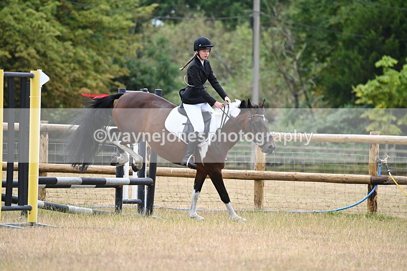 WJ6_0378 - Class 13 Novice Jumping 60cm