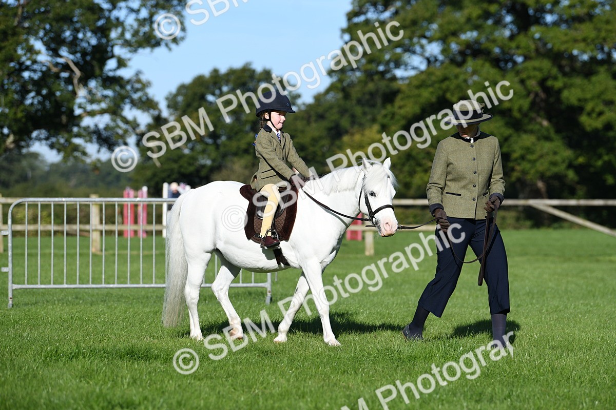 SBM_35378 - S17 - Condition & Turnout - Lead Rein