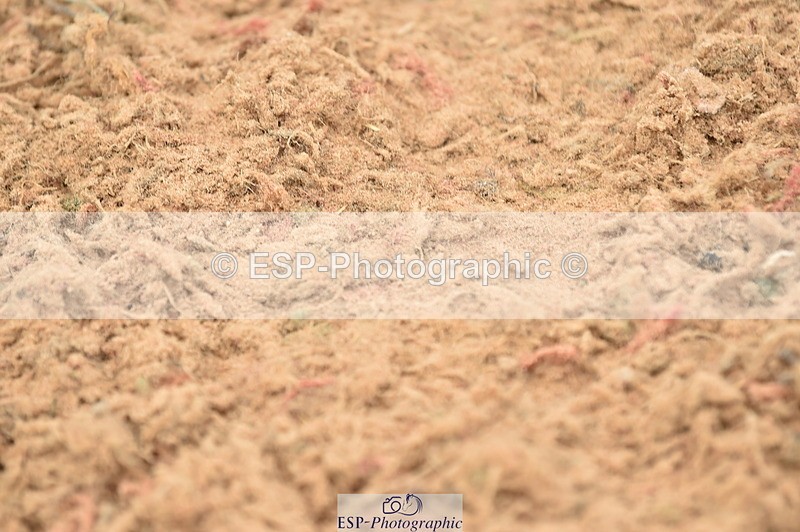 230720A-121438-02495 - Cls 13, 1 Star Bronze 1.10m