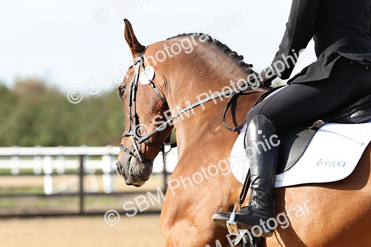 SBM_002242 - Class 50 - Novice 1