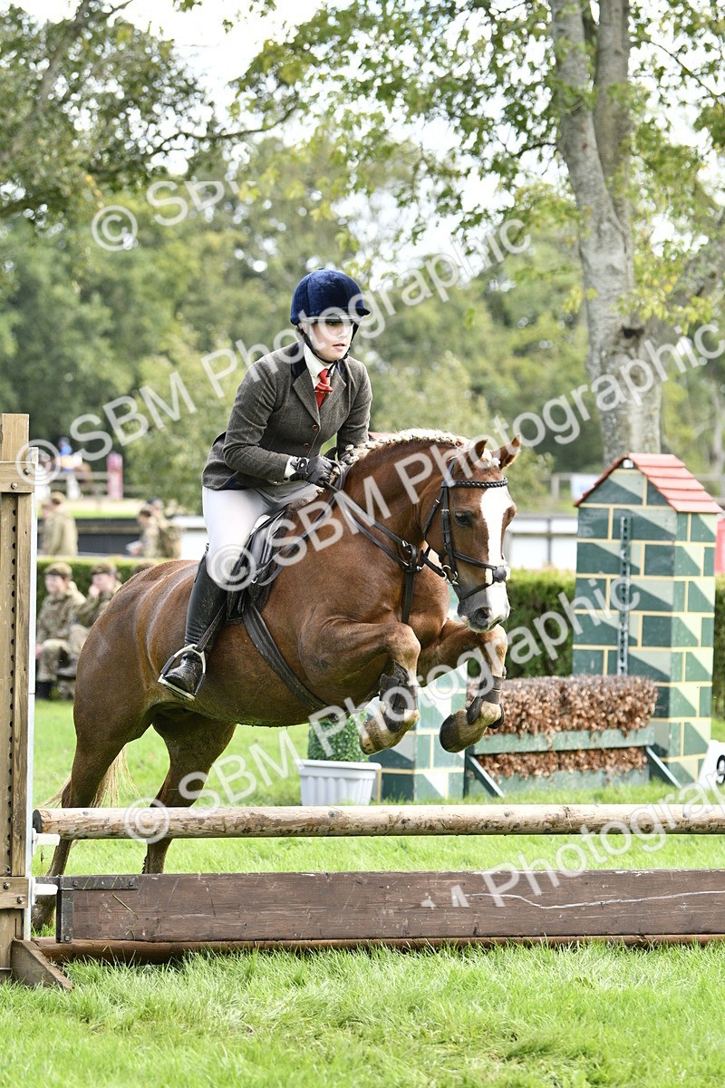SBM_45647 - S33 - Working Hunter Pony