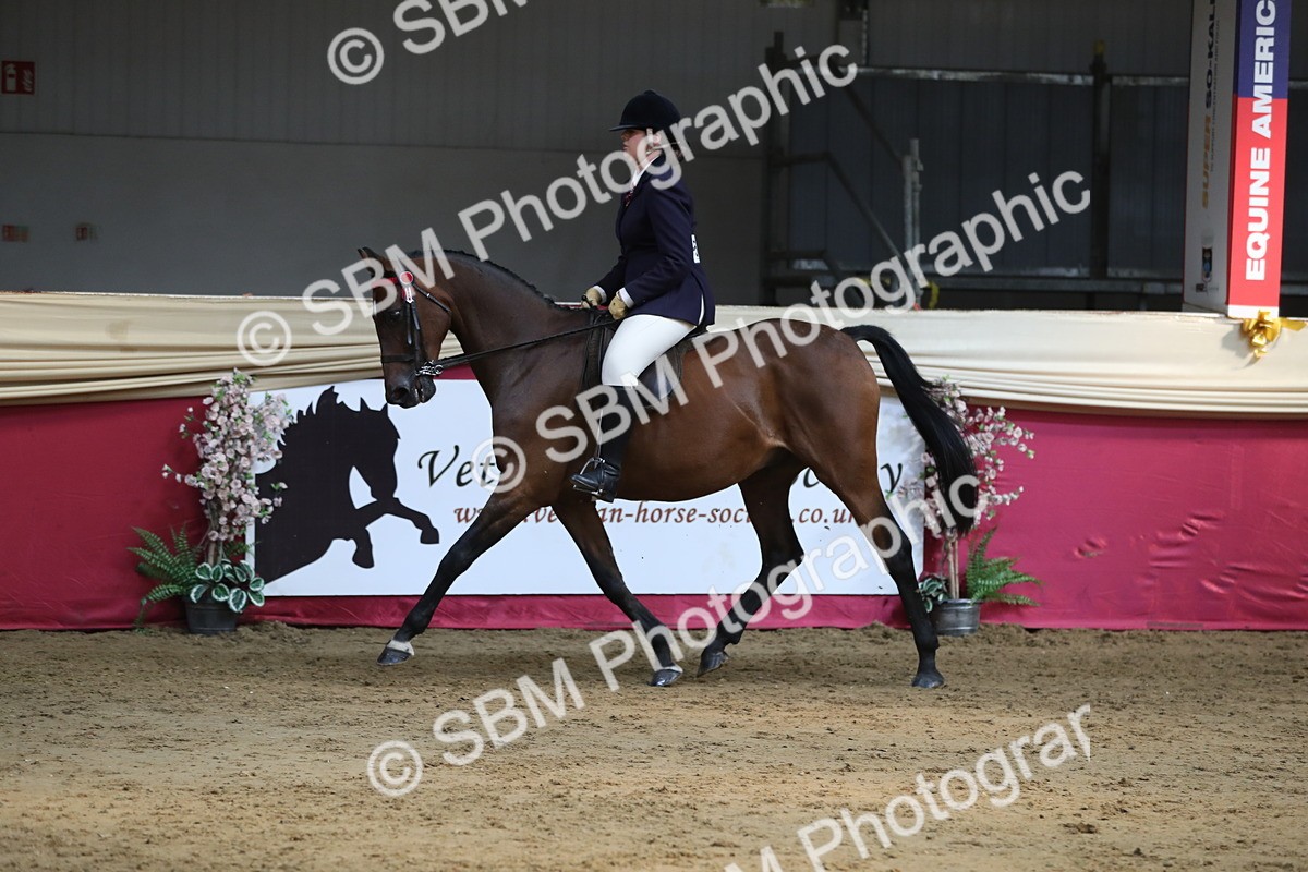 SBM_08363 - Class 11R Regional Ridden Veteran